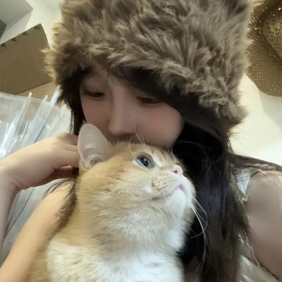新选组始末录